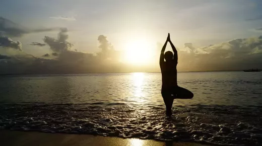 Buddhists and the History of Meditation