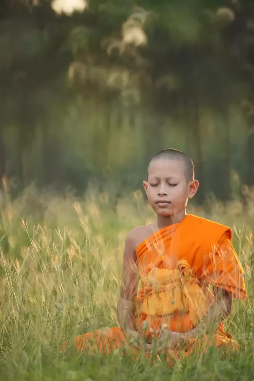 Yoga and Meditation for Specific Health Conditions and Concerns