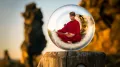 Transform Your Life Through Yoga: The Benefits of a Regular Yoga Practice